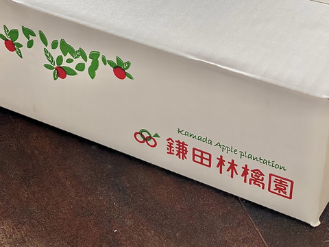 夏りんごの詰合せセット！！9個～12個　箱含め約3㎏