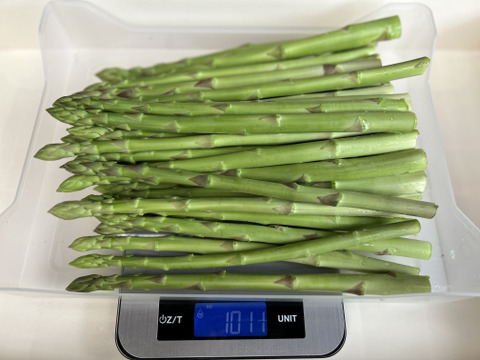 ＼ML中サイズ1kg／野菜ソムリエサミット『金賞』受賞　自噴水で育てたアスパラガス佐賀県伊万里産