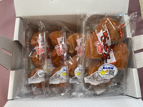 訳あり!まるせい果樹園のあんぽ柿（干し柿）200㌘×5パック af1