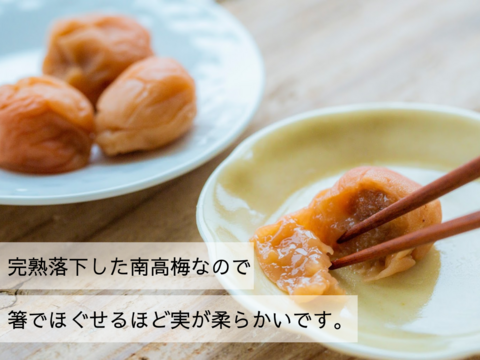【無添加・食べ比べ】梅干し好きが唸る、天日塩と紫蘇だけで漬けた梅干し 1kg ×2『完熟南高梅』