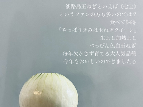 【ひょうご安心ブランド認証☺︎】淡路島　大人気　新玉ねぎ　七宝　5kg 淡路島たまねぎ　白い玉ねぎ　みずみずしい玉ねぎ　甘い
