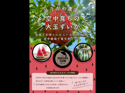 【夏ギフト】贅沢な甘さとシャリ感『空中育ちの大玉すいか』６kg　１玉