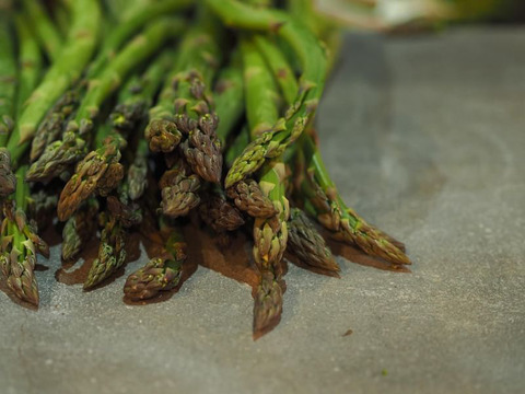 【春芽】味と食感にこだわった\有機農家の作る！露地栽培のみずみずしく柔らかいアスパラガス800g/
