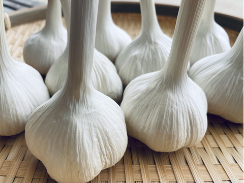 農薬・化学肥料栽培中不使用！栄養満点のニンニク500g