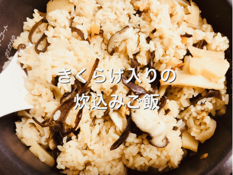 Nhkためしてガッテンで取り上げられた高知県仁淀川町産 黒きくらげスライスタイプ 100g 3袋 オンリーワンのコリコリ食感と毎朝快腸快便 配送日時指定可能 高知県産 食べチョク 農家 漁師の産直ネット通販 旬の食材を生産者直送 Nhkためしてガッテンで取り上げられた高知県仁淀川町産 黒きくらげスライスタイプ 100g 3袋 オンリーワンのコリコリ食感と毎朝快腸快便 配送日時指定可能 高知県産 食べチョク 農家 漁師の産直ネット通販 旬の食材を生産者直送