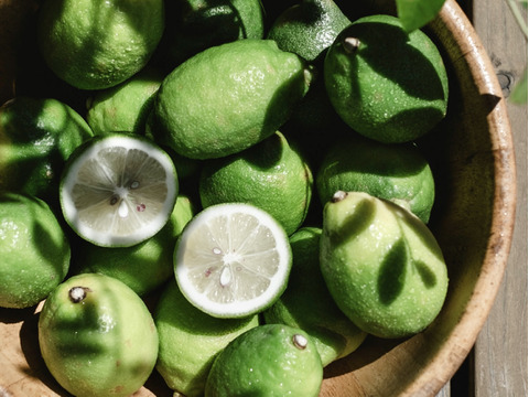 【予約限定価格】皮ごと食べられる 瀬戸内グリーンレモン 1kg 防腐剤・ワックス不使用