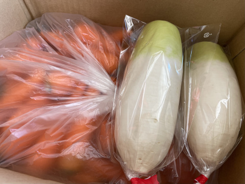 【年末感謝SALE】訳あり人参と訳ありミニ大根セット