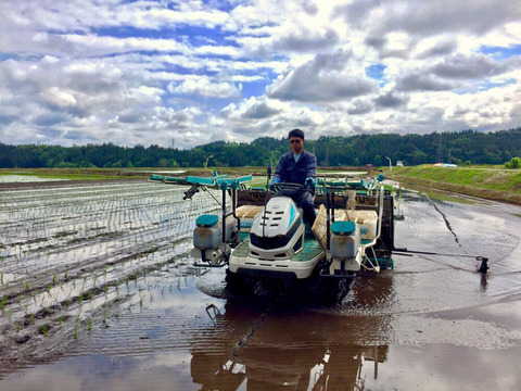 【予約商品】【令和7年新米】炊き上がりの艶と上品な甘さが絶品！魚沼産コシヒカリ『原材料名、津南町』精米10㎏(5㎏×2)