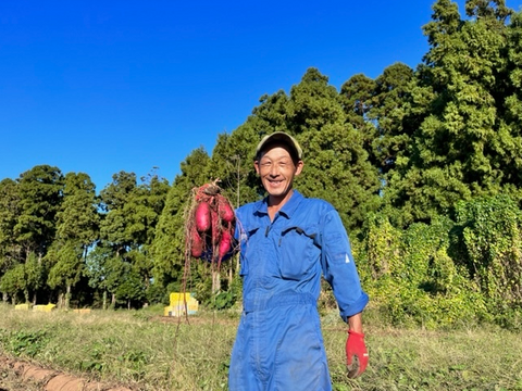 サツマイモ 紅はるか 5Kg箱 訳あり　有機肥料のみ 大中小サイズ混合家庭用 (中身4.91ｋｇ前後）有機質の畑で育ったサツマイモ