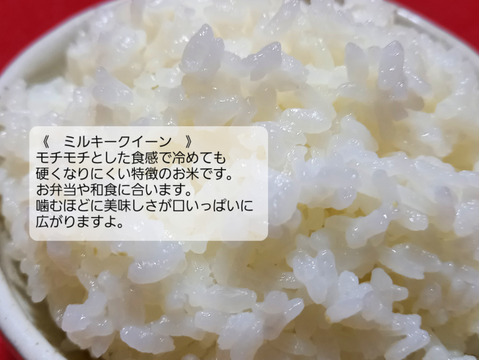 【母の日ギフト】①【 農薬不使用のお米】特別栽培米コシヒカリ1㎏・ミルキークイーン１㎏ 詰め合わせギフト 令和4年産