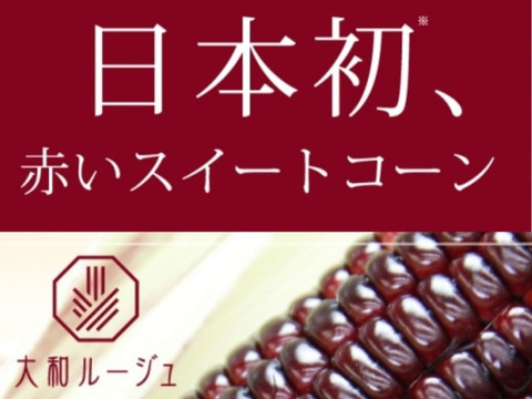 軽井沢 産高原野菜 大和ルージュ 赤いスイートコーン とうもろこし サイズ混合 6本 セット