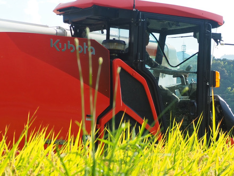 【令和7年産新米】 三重県産 コシヒカリ 玄米(精米可)5kg