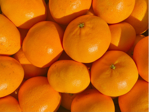 せとか2kg＋甘平2kg【柑橘食べ比べ】