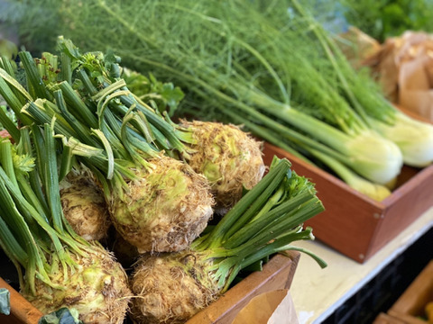 冬に食べたいあったか料理に！根セロリ（セロリアック）3㎏