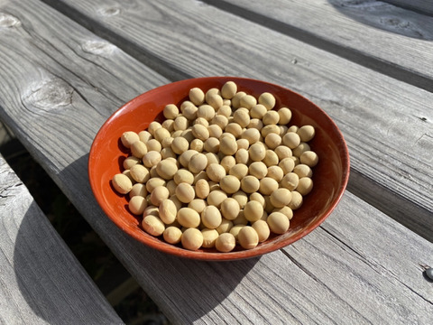 栽培期間中農薬・化学肥料不使用！南アルプスの麓で育った大豆（ギンレイ）１kg