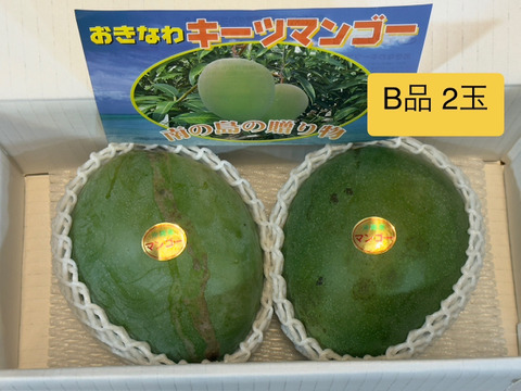 キーツマンゴー　3キロ りぐっちょキーツマンゴー3Lサイズ（約1.2kg×1） | 安心堂 食の