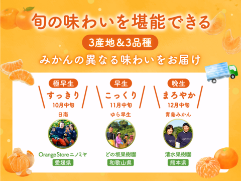 【10/25 終了】温州みかん食べ比べ便 〜みかんは食べチョク〜