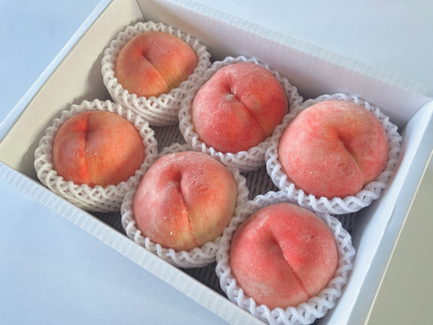 《旬の白桃》家庭用 2kg