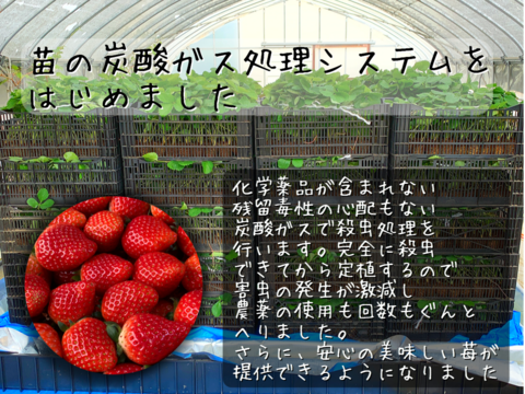 🍓苺農家ならではの“美味しすぎる！苺づくしのアイスクリームセット”【6種類】【熨斗付き】