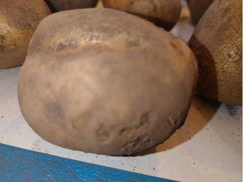 【ちょっと訳有❗】野菜セット（ジャガイモ、にんにく、新生姜）
大きさ色々　60サイズ　1.8㎏