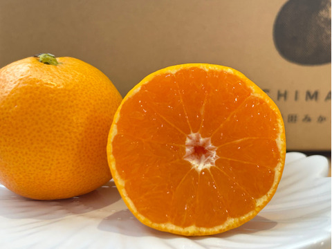 【ゆら早生】箱込み3キロ　Sサイズ ギフトにも！　有田みかん　極早生　低農薬　【冬ギフト】