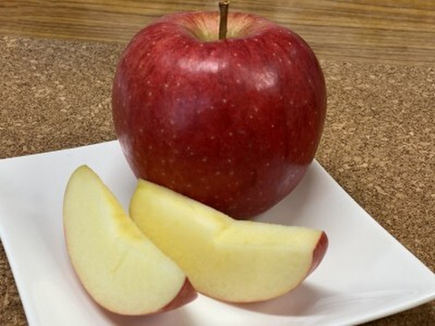【10月上旬ころ収穫】ジョナゴールド もぎたてはひと味違う！ 家庭用 5kg (12〜26個)