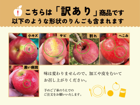 【幻の林檎】はるか 10キロ箱 訳あり品 22〜56玉サイズ  赤いサビ多いです 商品ID98391 長野県 信州 安曇野 リンゴ 幻 幻のリンゴ 予約 希少 旬
