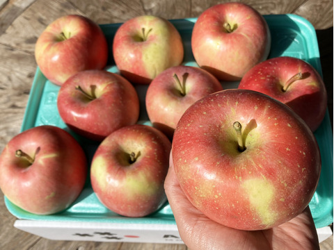 【完売御礼】早生ふじ🍎ほのか🍎たっぷり10kg キズなし良品 化学肥料不使用 低農薬 青森県特別栽培認証取得