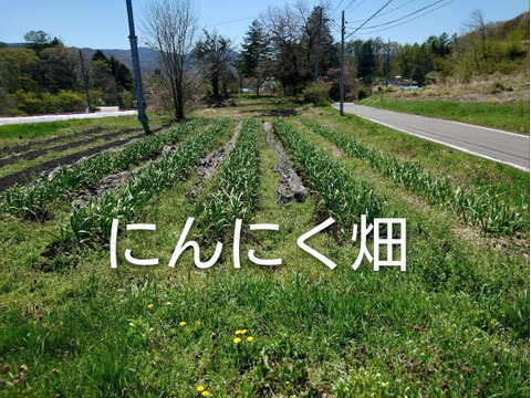 【ちょっと訳有❗】野菜セット（ジャガイモ、にんにく、新生姜）
大きさ色々　60サイズ　1.8㎏