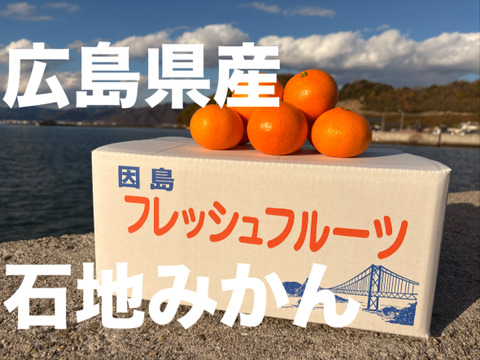 【大玉】樹上熟成！広島県産 ｢石地みかん｣ 10kg箱