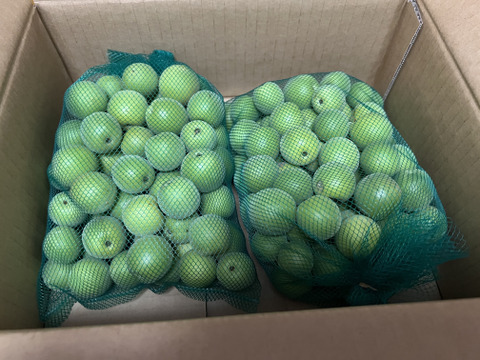 (NEW商品)山形県天童産 青梅 2k (お酒•梅干し作りに！！小梅ちゃん)訳あり　さくらんぼとご一緒に！！梅干し用