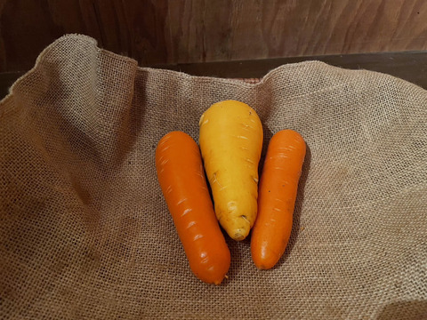 ぴよぴよ農場ミニセット【甘みと旨みの冬の根菜セット】