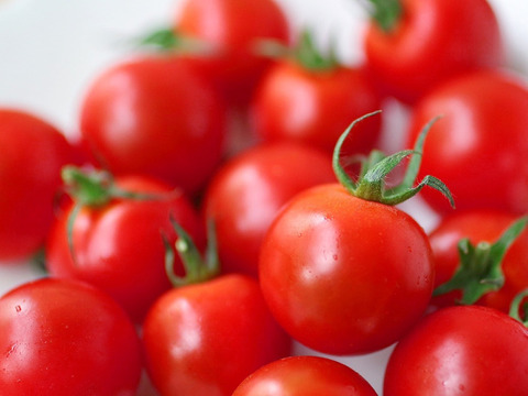 【南国土佐】完熟恋味トマト お試し５００ｇ 農薬不使用 自然栽培 四万十産