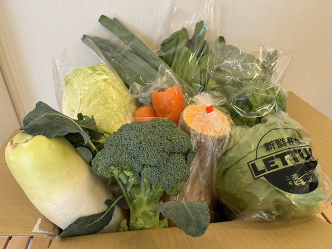 安心・安全なこだわり根菜セット　４種類　８０サイズ