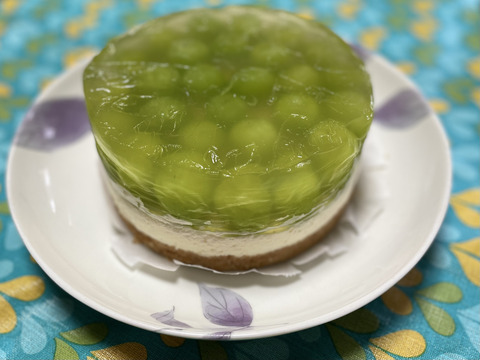 ぶどう3色食べ比べ🍇緑・黒・赤の豪華セット