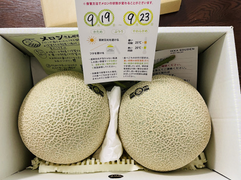 「外まで甘い」2玉で2.8kg高糖度マスクメロン