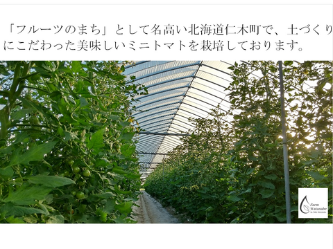 予約販売 ミニトマトジュース(北海道仁木町産アイコ100%)１L ×６本～無塩、無糖
