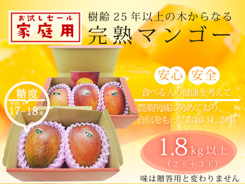 食べチョク限定 家庭用 お試しセール 樹齢25年以上の木からなる糖度約17 18度の完熟マンゴー 5玉 1 8kg 2kg 福岡県産 食べチョク 農家 漁師の産直ネット通販 旬の食材を生産者直送