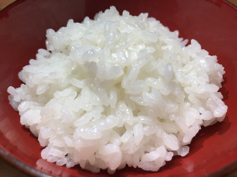 【美し国みえ安心食材認定】R3年新米コシヒカリ 玄米5kg