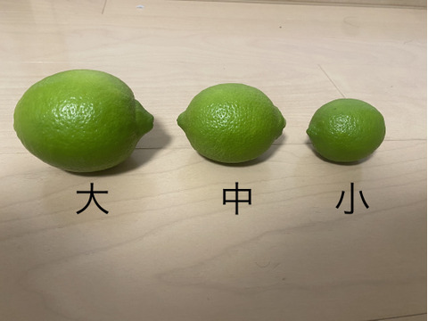佐賀県産レモン(リスボン)4kg