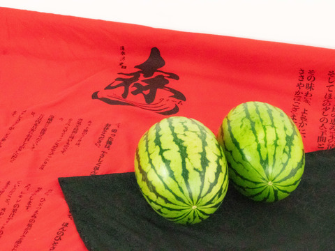 【ギフト・お中元用】スーパーには流通しにくい『激甘うりぼースイカ』（Lサイズ2玉入り：3人分）