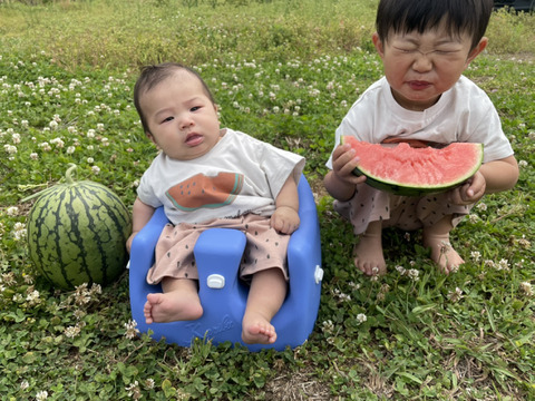 【赤のキセキ】〜苺から小玉すいかへ。季節が交差する、7日間だけの限定セット〜