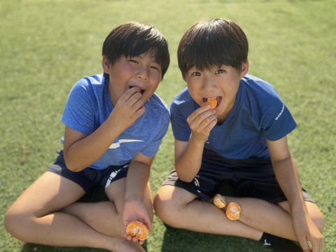 さっぱり！サックリ！フローズンみかん🍊4袋