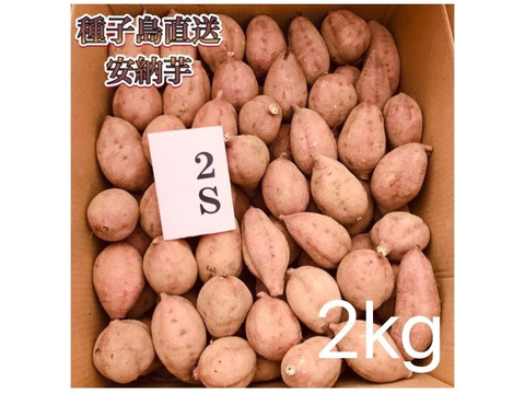 【絶品】aimo農園｜安納芋 2Sサイズ 2kg(箱別)