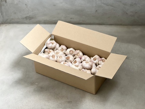 【屋久島産】在来種にんにく1.5kg（約30球）