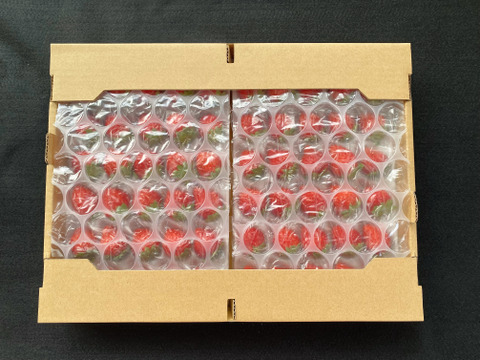 生　今が旬❗️夏イチゴ【すずあかね】30玉×2 トレー　爽やかサッパリ