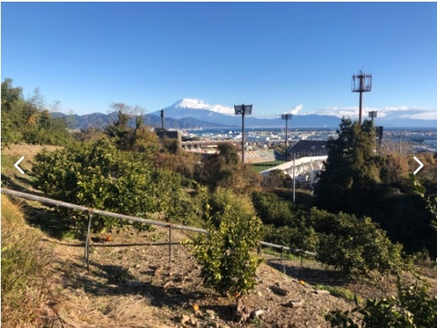 富士山が見える日当たりの畑で育った　不知火（不揃い）8ｋｇ