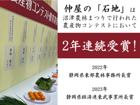 【予約】コンテストで2年連続受賞！ 幻のみかん『石地（いしじ）プティサイズ 3kg』 希少品種 小粒 3キロ 仲屋 海瀬農園 静岡県 西浦みかん ★12月27日以降順次発送