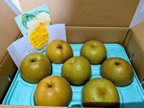 梨の季節が始まりますよ！！【香麗ｺｳﾚｲ】3kg