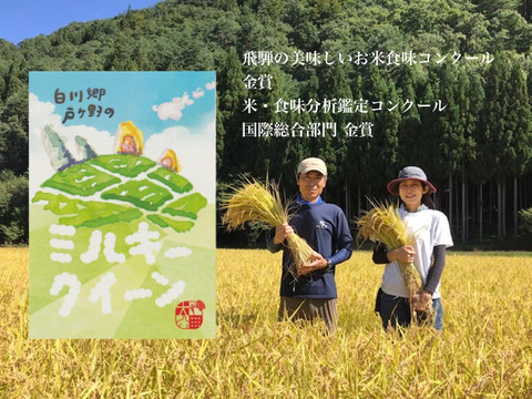 令和7年産 新米予約 戸ヶ野のミルキークイーン5㎏甘みとコクともちもち食感♪（11月発送）